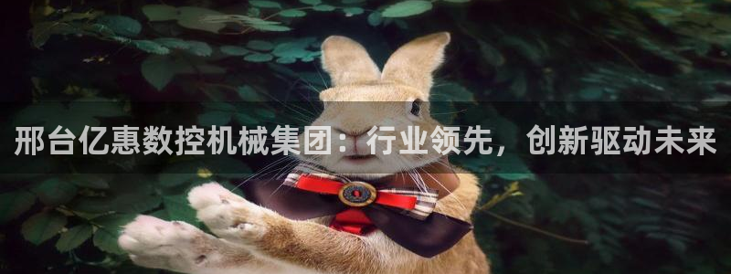 广东天辰娱乐:邢台亿惠数控机械集团:行业领先,创新驱动未来