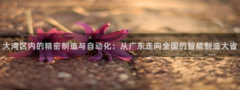 天辰娱乐电话:大湾区内的精密制造与自动化:从广东走向全国的智能制造大省