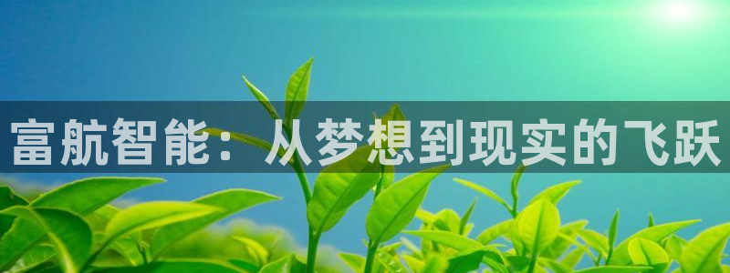 天辰娱乐平台入口:富航智能:从梦想到现实的飞跃