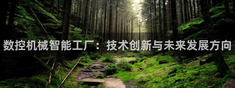 天辰娱乐平台app下载:数控机械智能工厂:技术创新与未来发展方向