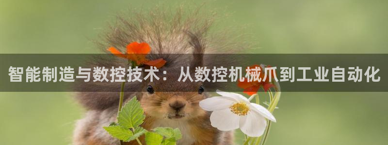天辰娱乐-q:智能制造与数控技术:从数控机械爪到工业自动化