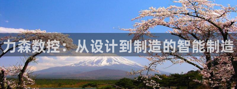 天辰娱乐代理:力森数控:从设计到制造的智能制造