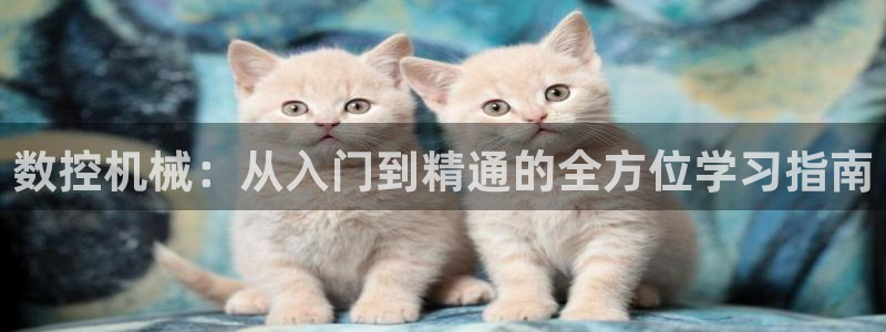天辰天辰娱乐:数控机械:从入门到精通的全方位学习指南