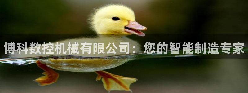 天辰娱乐在线登录注册:博科数控机械有限公司:您的智能制造专家