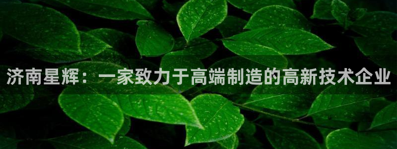 天辰注册娱乐:济南星辉:一家致力于高端制造的高新技术企业