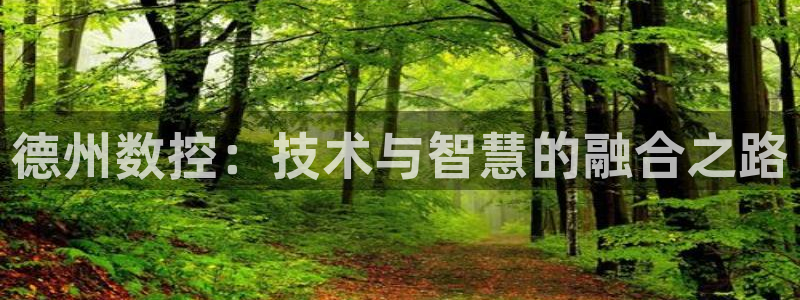 天辰娱乐输了:德州数控:技术与智慧的融合之路