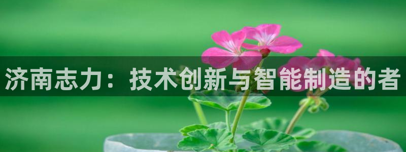 天辰娱乐厕所:济南志力:技术创新与智能制造的者