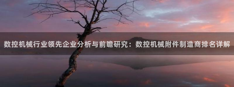 天辰娱乐国际:数控机械行业领先企业分析与前瞻研究:数控机械附件制造商排名详解