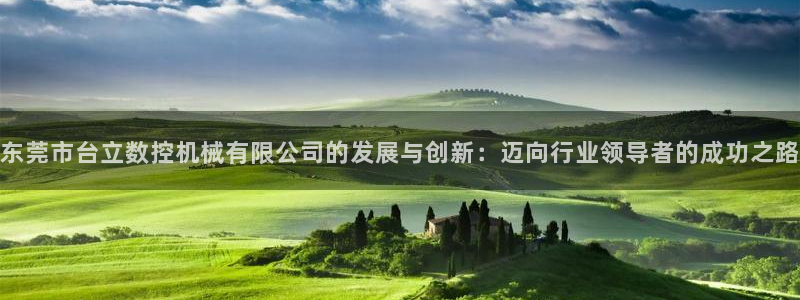天辰娱乐新闻:东莞市台立数控机械有限公司的发展与创新:迈向行业领导者的成功之路