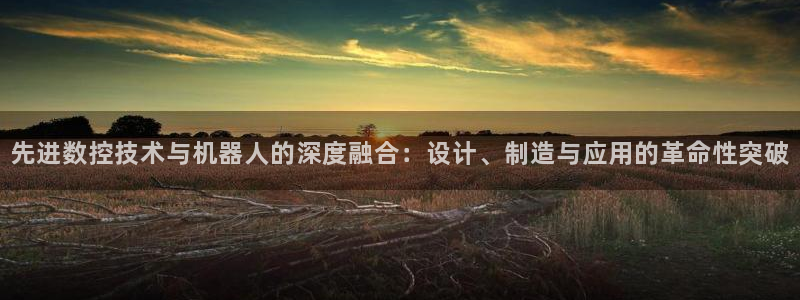 辰天娱乐用品:先进数控技术与机器人的深度融合:设计、制造与应用的革命性突破