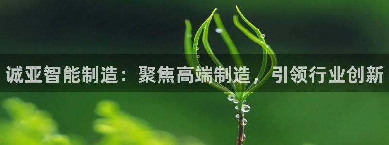 天辰娱乐22650:诚亚智能制造:聚焦高端制造,引领行业创新