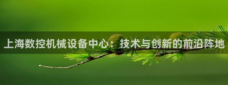 天辰 娱乐注册:上海数控机械设备中心:技术与创新的前沿阵地